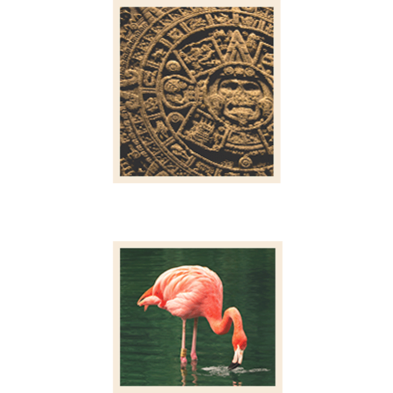 Aztec et flamand rose