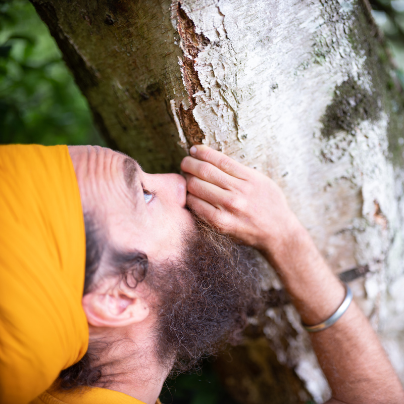 Laurent boit de la sève de bouleau en forêt