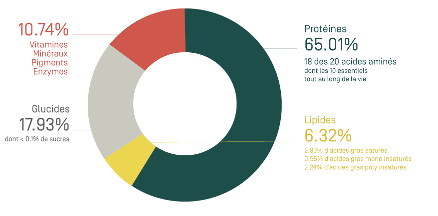 La composition de la spiruline