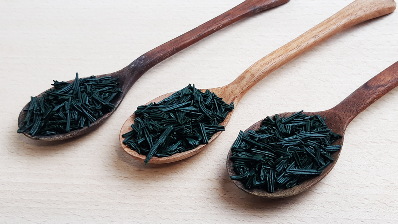 cure hivernale de spiruline