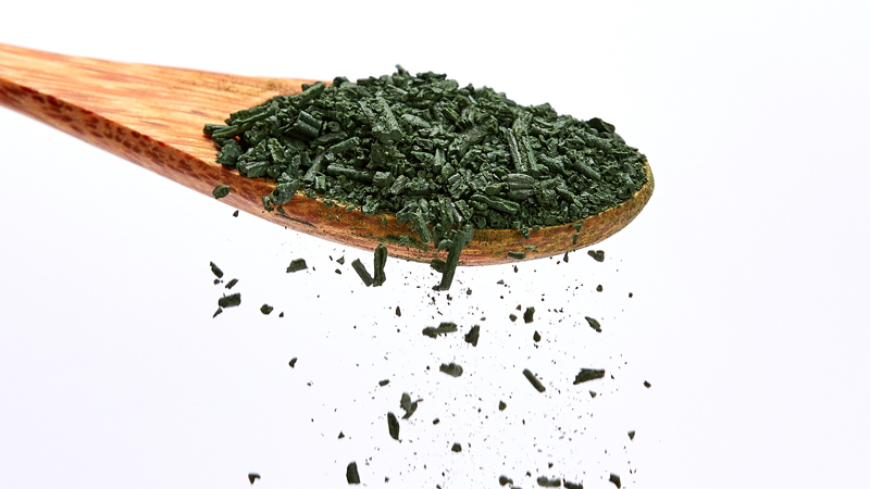 spiruline et système immunitaire