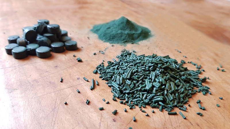 spiruline