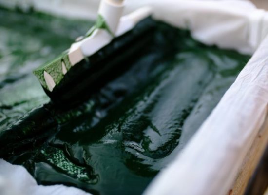 cultiver spiruline autonomie