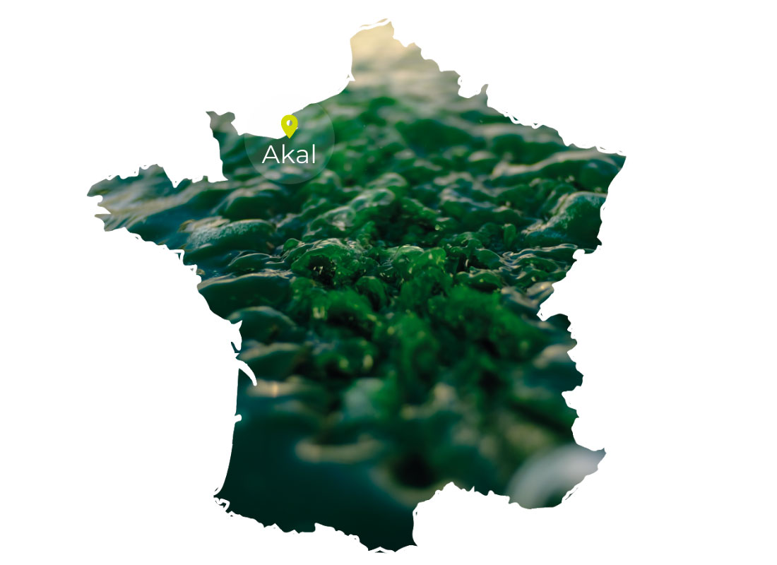 spiruline en France