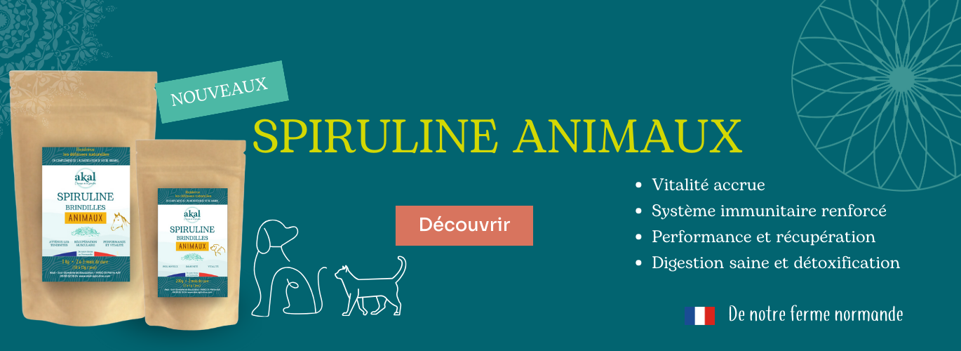 bienfait spiruline cheval