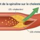 spiruline et cholestérol